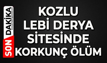 Kozlu Lebi Derya Sitesi'nde korkunç ölüm