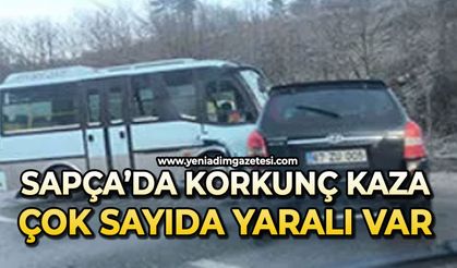 Sapça'da korkunç kaza: Yaralılar var