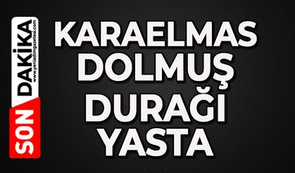 Karaelmas dolmuş durağı yasta