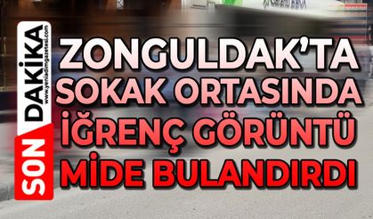 Zonguldak'ta sokakta iğrenç görüntüler mide bulandırdı!