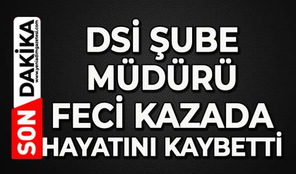 DSİ Şube Müdürü ve şoförü feci kazada hayatını kaybetti