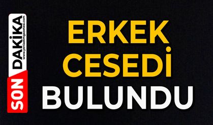 Park halindeki araçta erkek cesedi bulundu