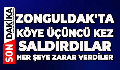 Zonguldak'ta köye üçüncü kez saldırdılar: Her şeye zarar verdiler