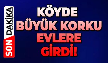 Köyde büyük korku: Evlere girdi!
