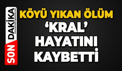 Köyü yıkan ölüm: 'Kral' hayatını kaybetti