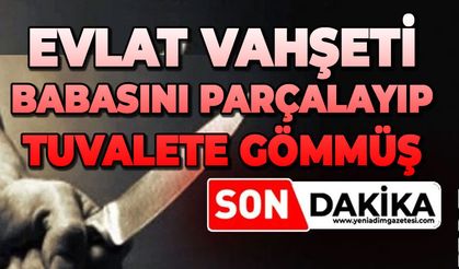 Evlat vahşeti: Babasını parçalayıp tuvalete gömmüş