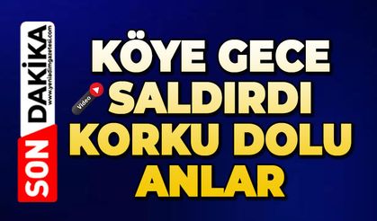 Gece saldırdı: Köyde korku dolu anlar