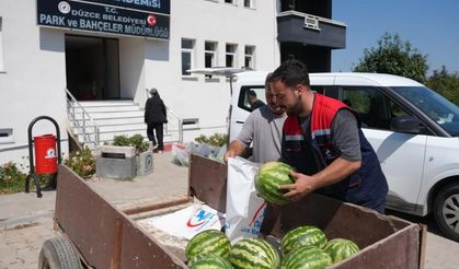 Ata tohumundan üretildi, ihtiyaç sahiplerine ulaştırıldı