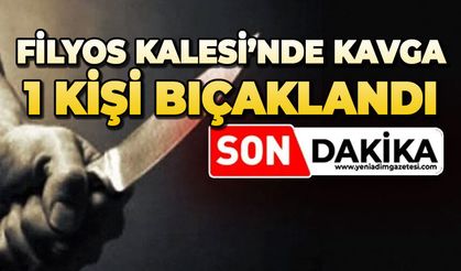 Filyos Kalesi’nde kavga: 1 kişi bıçaklandı