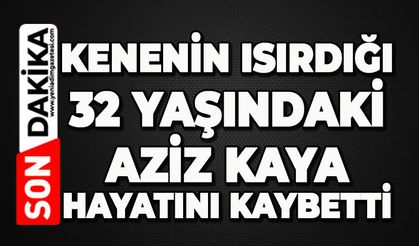 Kenenin ısırdığı 32 yaşındaki Aziz Kaya hayatını kaybetti