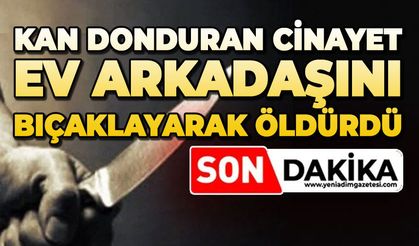 Ev arkadaşını bıçaklayarak öldürdü