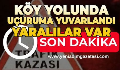 Köy yolunda şarampole yuvarlandı: Yaralılar var