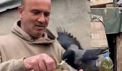 4 yıldır beslediği kargasına elleriyle balık yedirdi