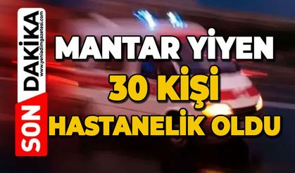 Mantar yiyen 30 kişi hastanelik oldu