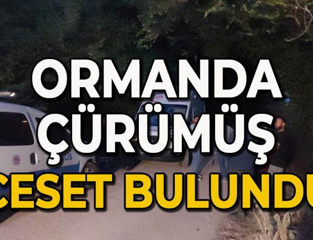 Ormanda çürümüş ceset bulundu
