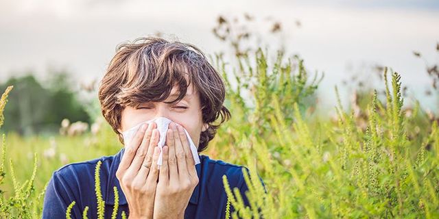 Bahar alerjisinin tedavi yöntemi: Alerjenden uzak durma