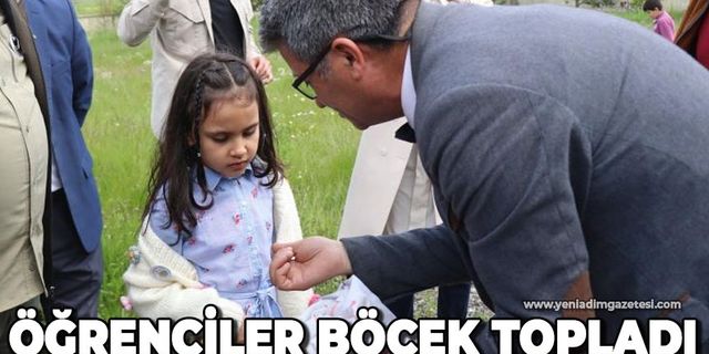Öğrenciler böcek topladı