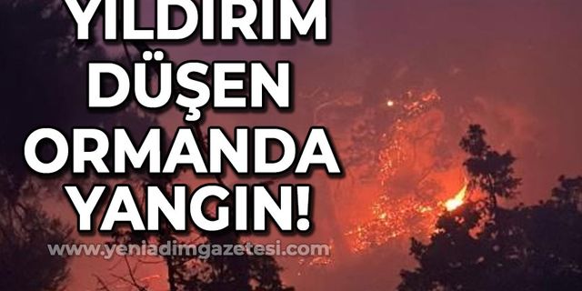 Ormana yıldırım düştü yangın çıktı!