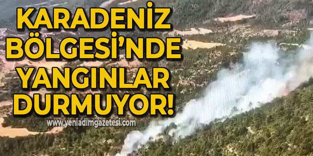 Karadeniz Bölgesi'nde orman yangınları durmuyor: Helikopter ve arazözler olay yerinde