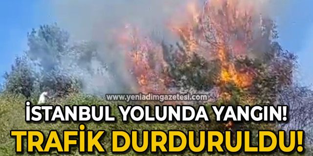 İstanbul yolunda yangın: Trafik durduruldu!