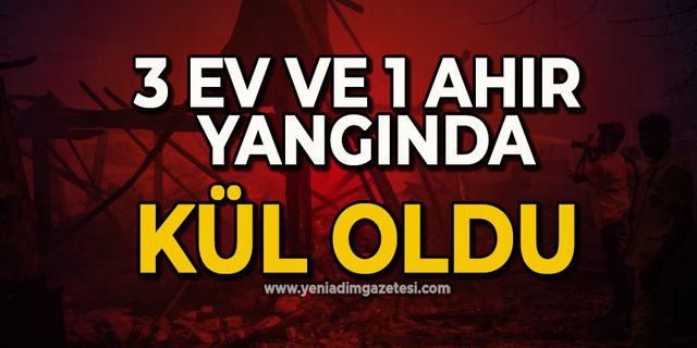 3 ev ve 1 ahır yangında kül oldu