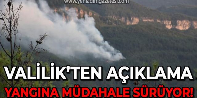 Karabük'te orman yangını sürüyor: Valilik'ten açıklama!