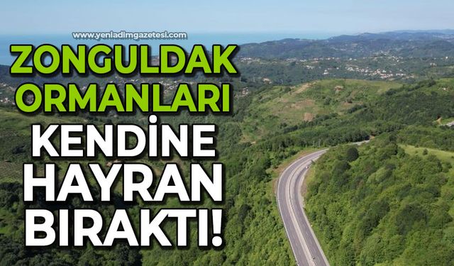Zonguldak ormanları hayran bıraktı