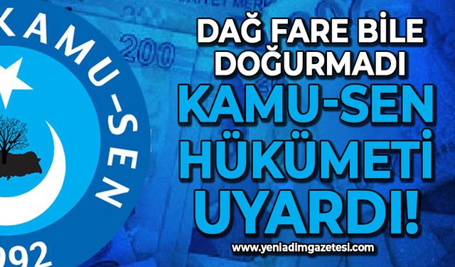 Kamu-Sen hükümeti uyardı: Dağ fare bile doğurmadı!