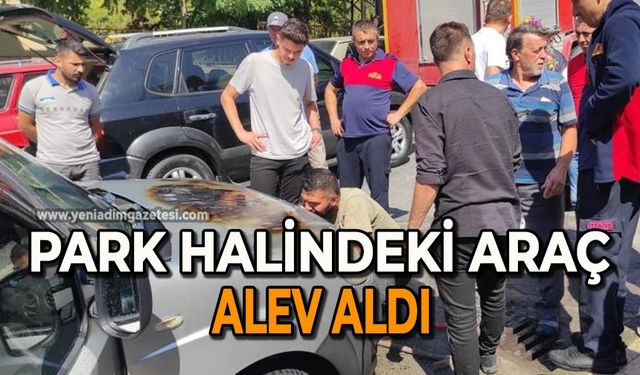 Park halindeki araç alev aldı