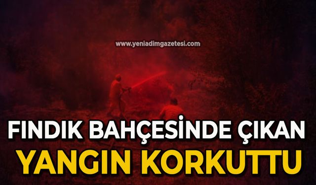 Fındık bahçesinde çıkan yangın korkuttu