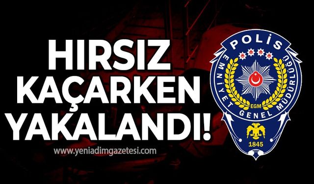 Alaplı'da hırsızlık yaptı Ereğli'de yakalandı!