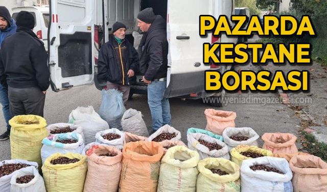 Pazarda kestane borsası