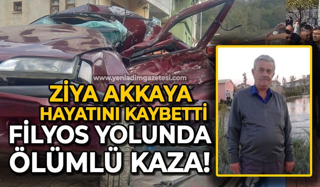 Filyos yolunda feci kaza: Ziya Akkaya hayatını kaybetti!