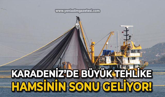 Karadeniz’de büyük tehlike: Hamsinin sonu geliyor