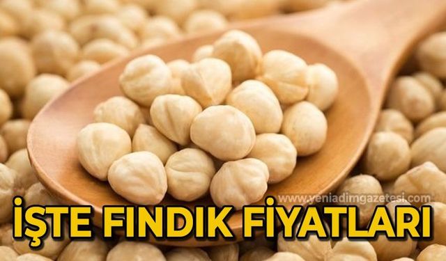 Türkiye'de üretilen fındık'ta son durum: İşte fiyatlar!