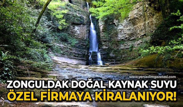 Zonguldak'ın doğal kaynak suyu, özel firmaya kiralanacak!