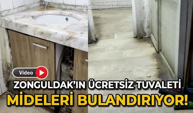 Zonguldak'ın ücretsiz tuvaleti mide bulandırıyor!