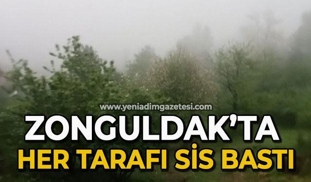Zonguldak'ta her tarafı sis bastı