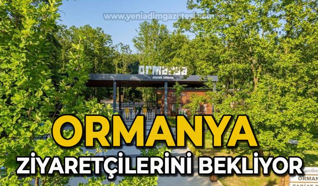 Ormanya ziyaretçilerini bekliyor