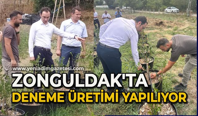 Zonguldak'ta deneme üretimi yapılıyor