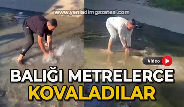 Balığı metrelerce kovaladılar