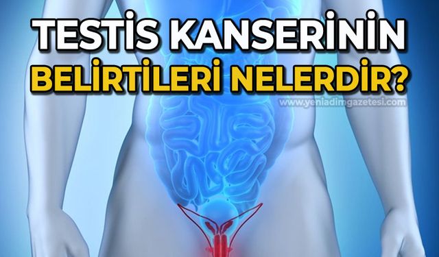 Testis kanserinin 7 belirtisi