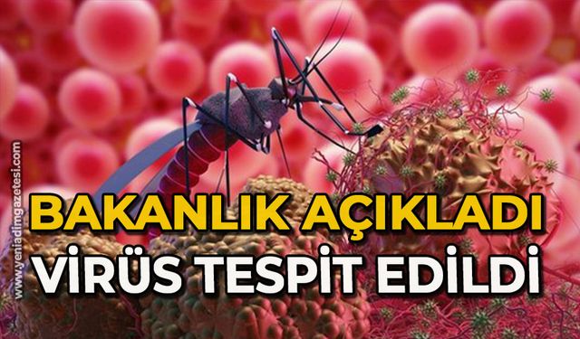 Sağlık Bakanlığı açıkladı: Batı Nil Virüsü tespit edildi!