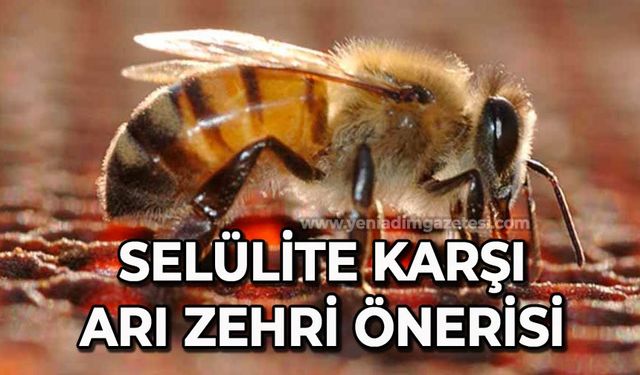 Selülite karşı arı zehri önerisi