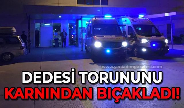 Dedesi torununu karnından bıçakladı!