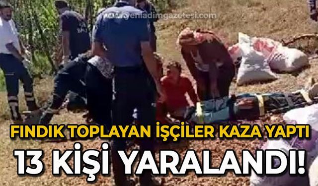 Fındık toplayan işçiler kaza yaptı: 13 yaralı