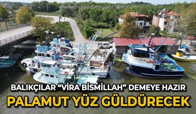 Balıkçılar "Vira Bismillah" demeye hazır: Palamut yüz güldürecek