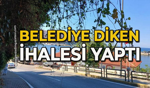 Belediye diken ihalesi yaptı