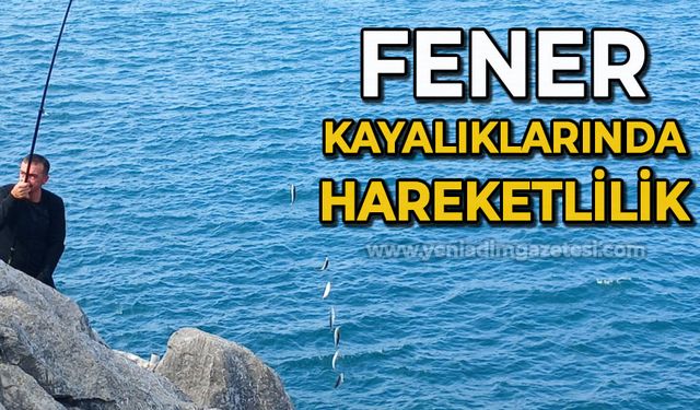 Fener kayalıklarında  hareketlilik