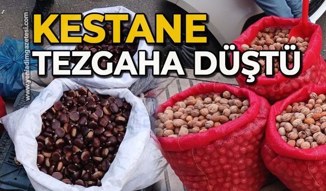 Kestane tezgaha düştü